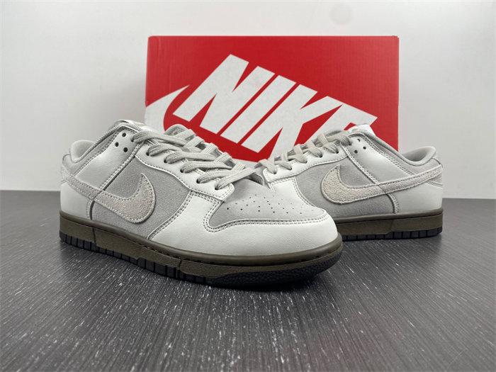 Nike Dunk Low Ironstone FD9746-001