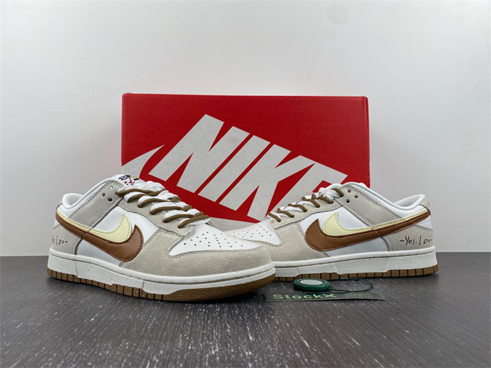 Nike Dunk Low DO9457-100