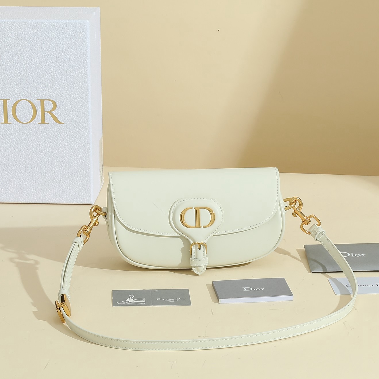 Dior Bobby east-West (22x13x5 cm)